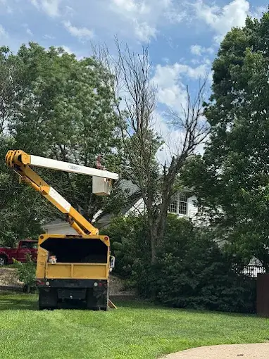 J&D Tree Service professional equipment in Southwest Missouri