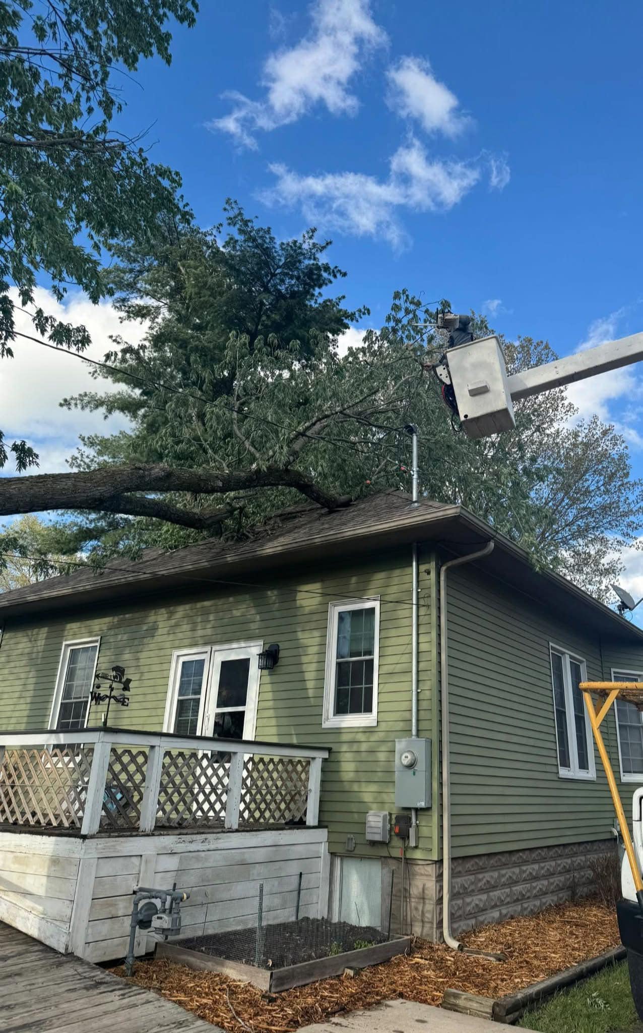 Emergency tree removal on after Easter Storm