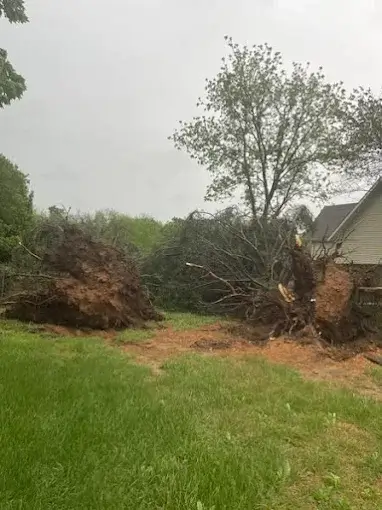 Storm cleanup in Barry County, Southwest Missouri