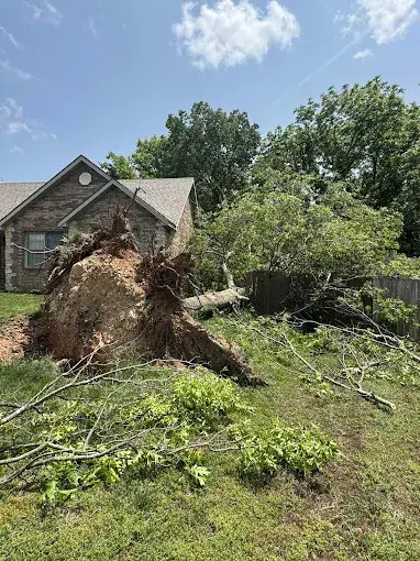 Tree removal job site in Monett, MO